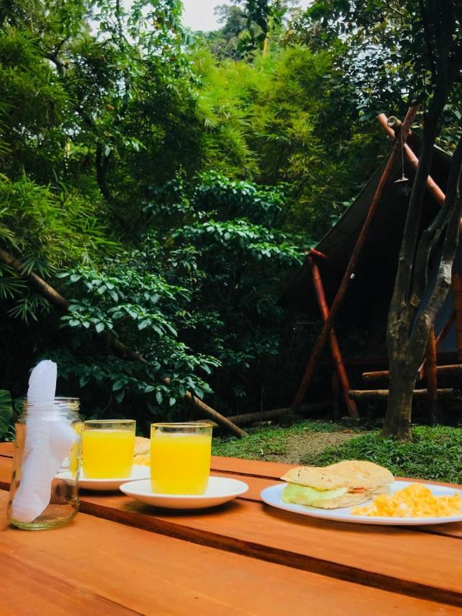 Bambu Glamping Ecolodge Μεντεγίν Εξωτερικό φωτογραφία