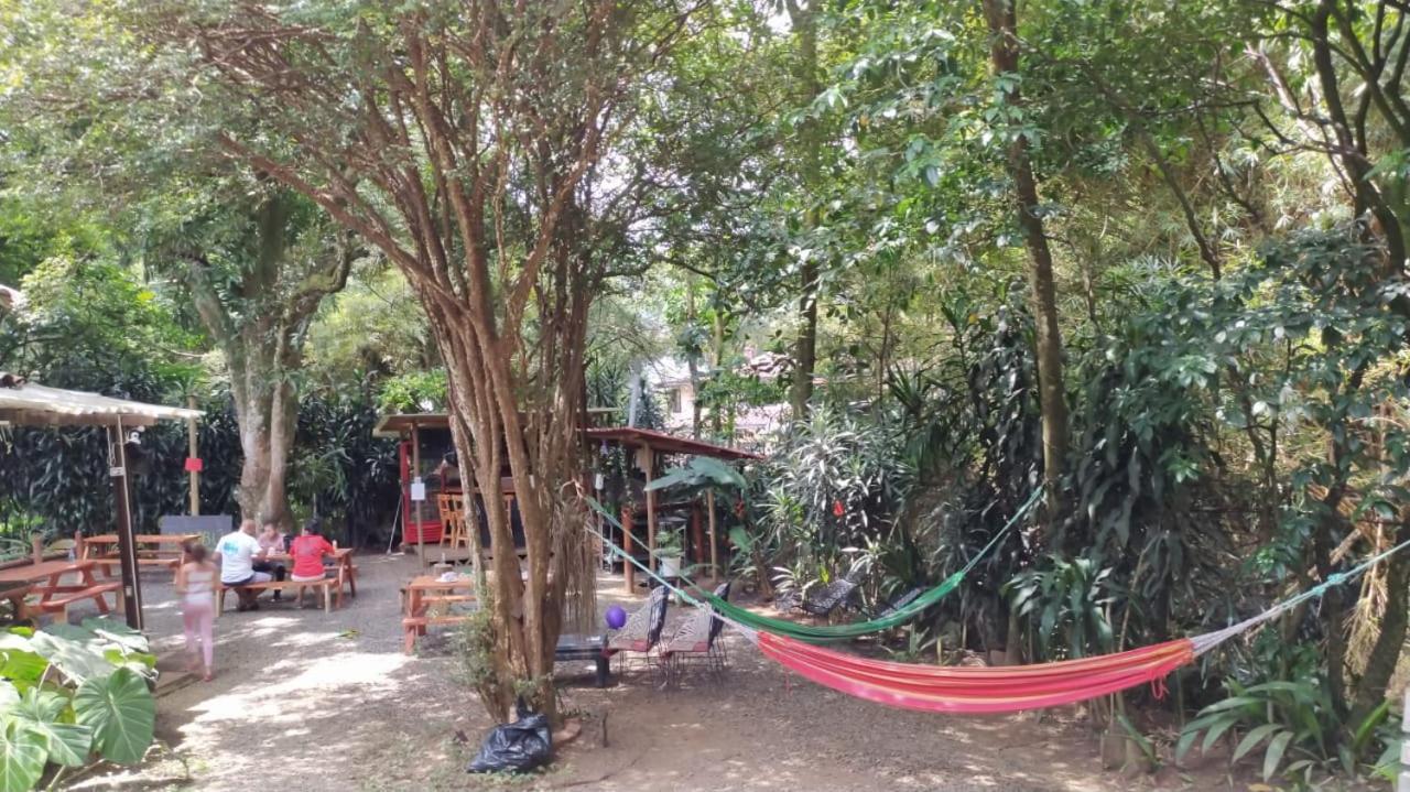 Bambu Glamping Ecolodge Μεντεγίν Εξωτερικό φωτογραφία