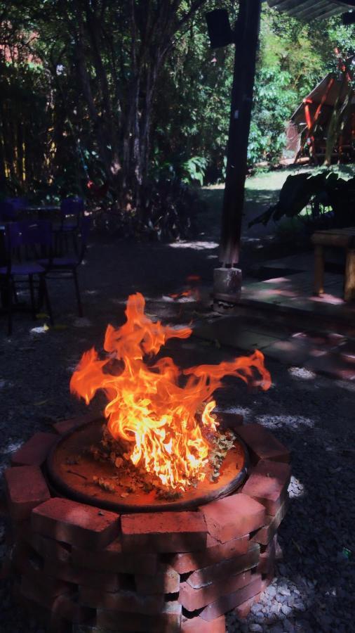 Bambu Glamping Ecolodge Μεντεγίν Εξωτερικό φωτογραφία