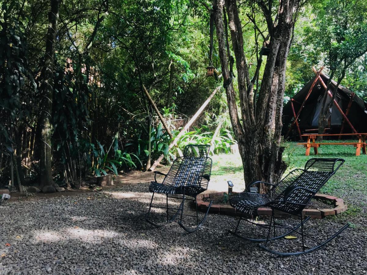 Bambu Glamping Ecolodge Μεντεγίν Εξωτερικό φωτογραφία