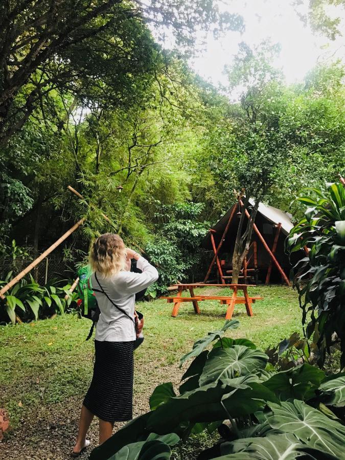 Bambu Glamping Ecolodge Μεντεγίν Εξωτερικό φωτογραφία