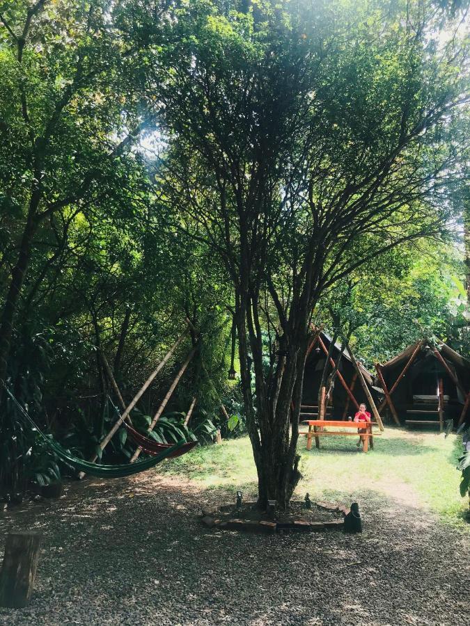Bambu Glamping Ecolodge Μεντεγίν Εξωτερικό φωτογραφία